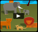 video - Gli animali della savana africana